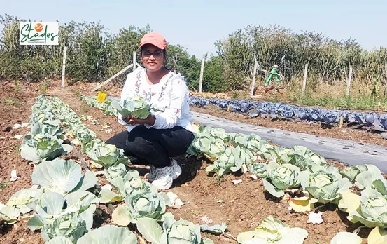 Purva Jindal has turned a rocky and barren land into an oasis of organic vegetables