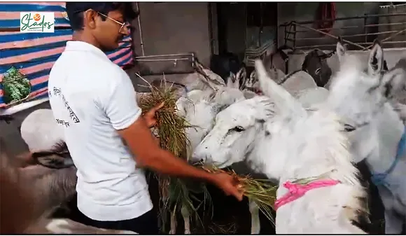 This Gujarat man earns Rs 16 lakh per month from donkey milk business
