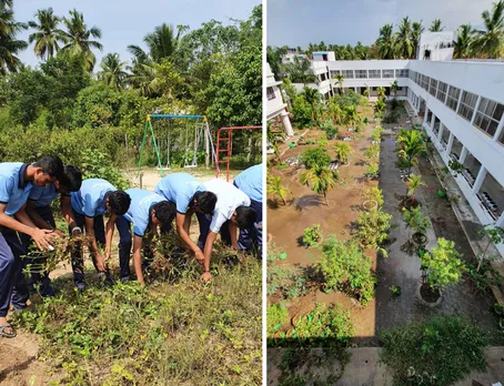 st john school native seed conservation