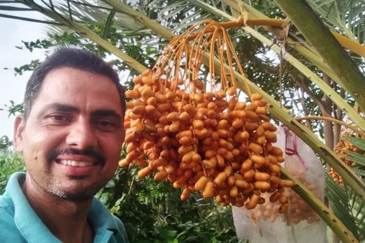 Ex-NSG commando earns Rs6 lakh per acre with organic date farming