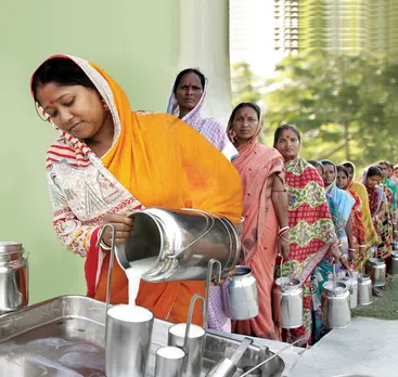 Sundarini: the organic milk revolution by women of Sundarbans