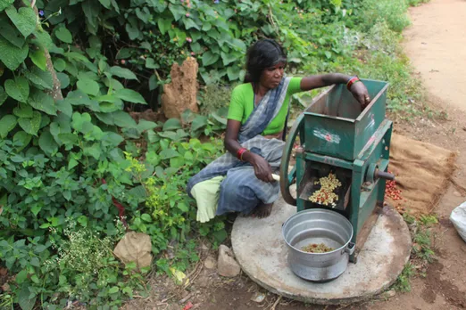 Adavi: organic coffee that brewed a new life for Karnataka’s Soliga tribe