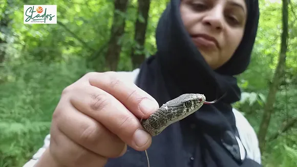 Meet Aaliya Mir: Kashmir’s math teacher-turned wildlife rescuer