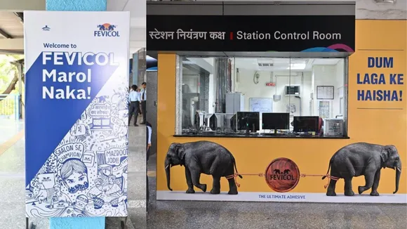 fevicol mumbai