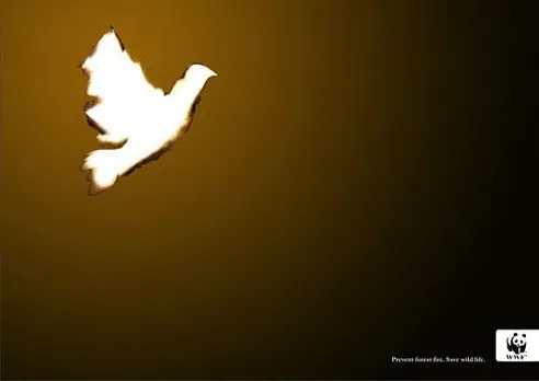 Prevent Forest Fire