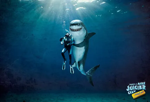 Shark