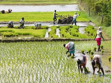 কৃষকদের উদ্দেশ্যে জরুরী বার্তা মুখ্যমন্ত্রীর