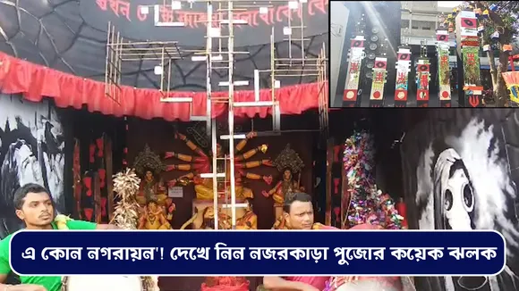 ‘এ কোন নগরায়ন'! দেখে নিন নজরকাড়া পুজোর কয়েক ঝলক