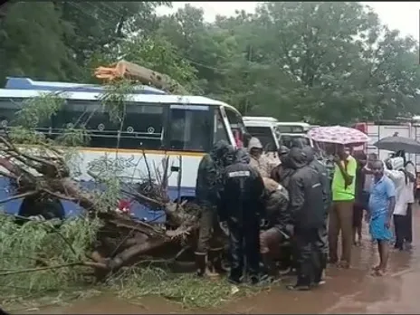 ভারী বৃষ্টি, ভেঙে পড়ল গাছ, ক্ষতিগ্রস্ত যানবাহন! বন্ধ স্কুল-কলেজ