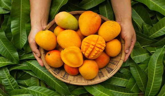 Mango Story: মিষ্টি আমের খোঁজ মিলতে পারে এই ভাবেই...