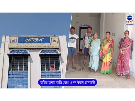 পঞ্চায়েত ক্ষতিপূরণ দিতে পারবে না! হাতির হানায় বাড়ি ভেঙে এখন উদ্বাস্তু 'তারা'