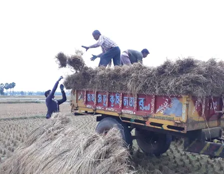 বৃষ্টির আতঙ্ক, আগেভাগেই ধান কাটছেন কেশপুরের চাষিরা