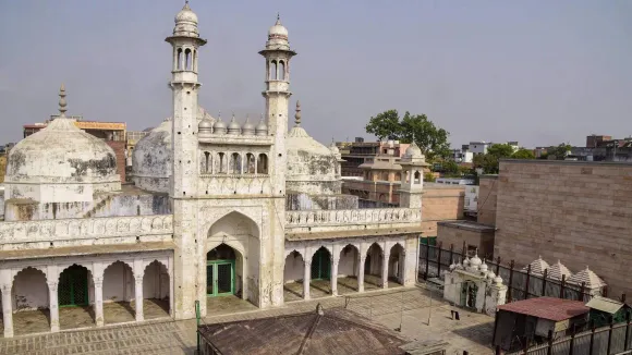 জ্ঞানবাপি মসজিদ মামলা: এবার বড় দাবি আবেদনকারীর