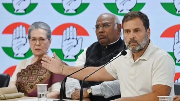 Rahul Gandhi slams Centre, says 'Congress bank accounts frozen, can't  campaign' | Latest News India - Hindustan Times