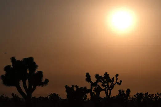 Heat-related deaths are expected to rise after 1.7 million people died in  2019 due to extreme temperatures: study - MarketWatch