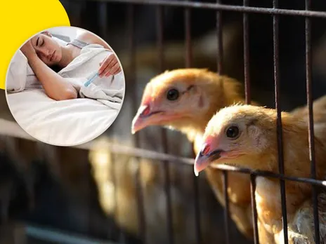 How Does Bird Flu Affect Humans? Know Everything About H5N1 Avian Influenza  | OnlyMyHealth