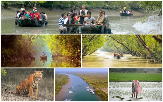 বায় দূষণে বিপন্ন সুন্দরবন, প্রবল অ্যাসিড বৃষ্টির আশঙ্কা, বিপাকে কলকাতাও
