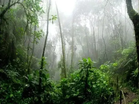 ব্রাজিল: অ্যামাজনে নিখোঁজ দুই ব্যক্তির হত্যার পরিপ্রেক্ষিতে গ্রপ্তার অভিযুক্ত