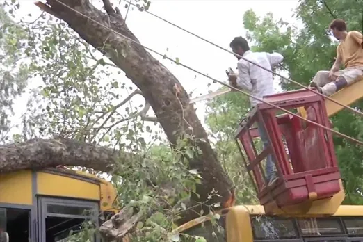 পড়ুয়াদের ওপর উপড়ে পড়লো গাছ, নিহত ১, জখম ২০