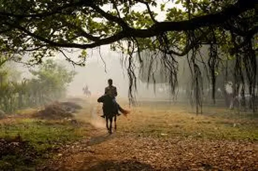 মাঘের শেষে  ব্যাটিং শীতের