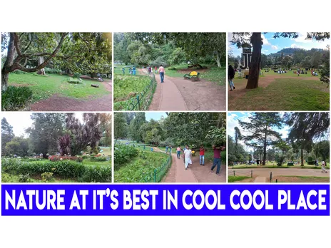 Nature at it’s best in cool cool place