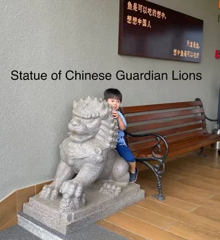 Chinese Lions in Kolkata