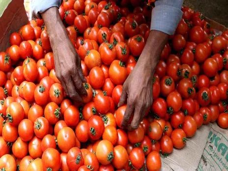 Decided to sell tomatoes at Rs 80 per kg: Government of India