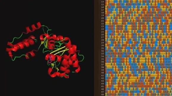 SUPERCOMPUTER HELPS CANADIAN RESEARCHER UNCOVER THOUSANDS OF VIRUSES🦠THAT COULD CAUSE HUMAN DISEASE.