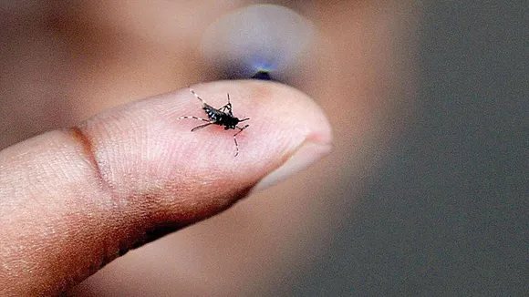 The number of dengue patients in Delhi crossed five thousand!