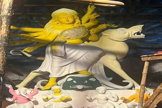 Do you know how many years ago Hindustan Park Durga Puja started?