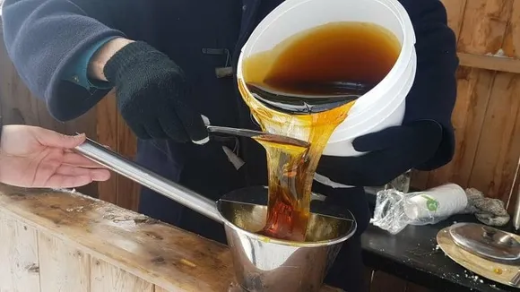 MAPLE SYRUP industry has become an international focus
