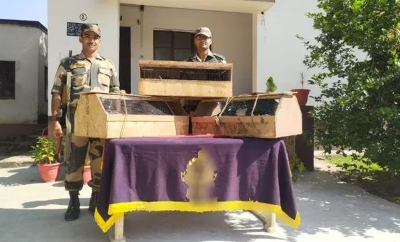 BSF rescued wild birds from the smugglers