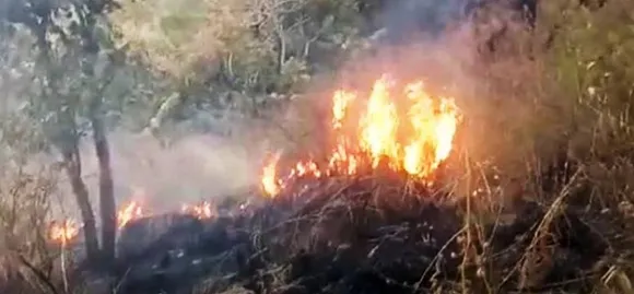Fire breaks out in Poonch forests, one landmine blast after another in Jammu and Kashmir