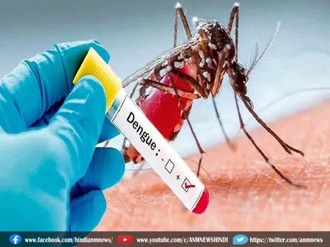 डेंगू से हुई 50 लोगों की मौत