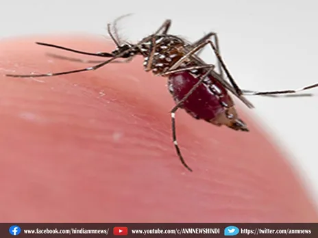 डेंगू की दहशत के बीच मलेरिया की दस्तक