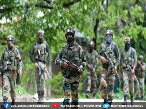 Jammu Kashmir : सुरक्षा बलों ने किए 12 आतंकवादी ढेर