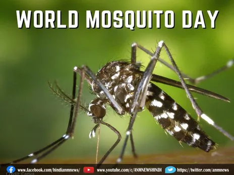 World Mosquito Day : जानिए हर साल मच्छर के वजा से कितने लोगो की जान जाती है