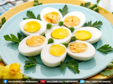 Lifestyle: सिंपल सा नाश्ता है उबले हुए अंडे
