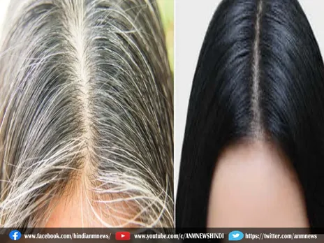 Beauty Tips : समय से पहले बालों को सफेद होने से रोके