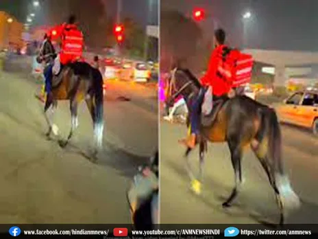 Ajab Gajab : घोड़े पर दिखा जोमैटो का डिलीवरी ब्वॉय, वजह जानकर हो जाएंगे हैरान
