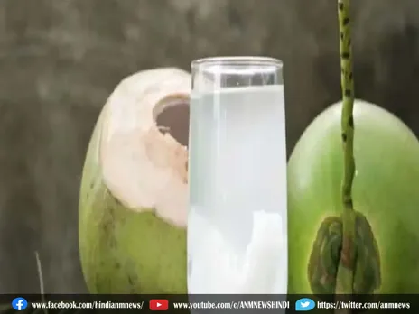 जानें नारियल पानी पिने के फायदे, शरीर में पानी की नहीं होगी कमी