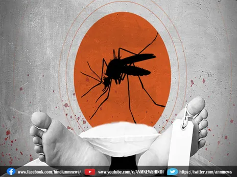 Kolkata में डेंगू के कहर से स्वास्थ्य विभाग परेशान