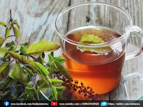 Lifestyle: खांसी-जुकाम और गले की खराश दूर करने के लिए तुलसी की चाय