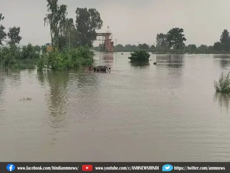 Haryana: बाढ़ पीड़ितो को आर्थिक मदद करेगी सरकार