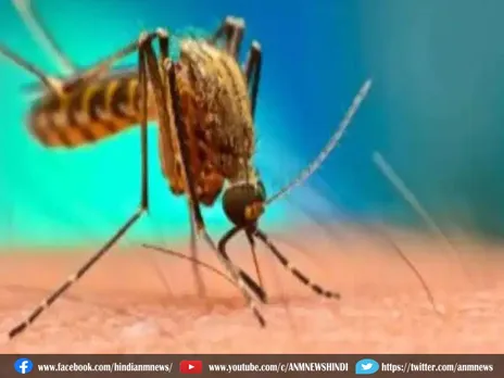 West Bengal: नवनिर्वाचित ग्रामीण निकाय सदस्यों के लिए डेंगू प्रशिक्षण की योजना
