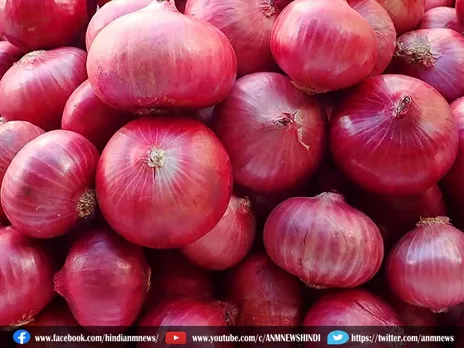 Onion Price : नवरात्र खत्म होते ही प्याज हुआ महंगा