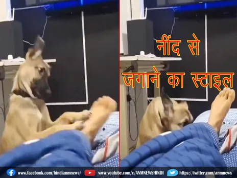 क्या आपने देखा है नींद से जगाने का ऐसा स्टाइल ? (Video)