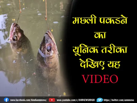 मछली पकड़ने का यूनिक तरीका, देखिए यह VIDEO