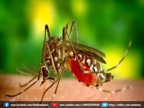 Dengue: डेंगू और जापानी इन्सेफेलाइटिस के मामलों में तेज बढ़ोतरी