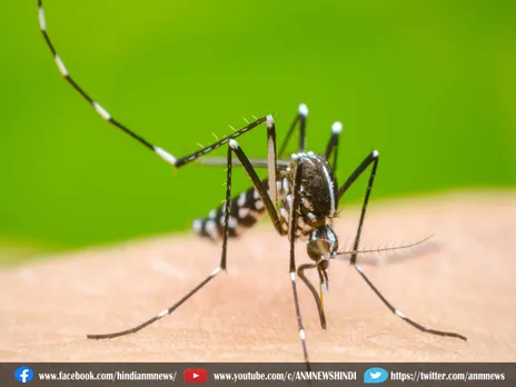 Dengue : डेंगू का लार्वा मिलने पर लगेगा जुर्माना